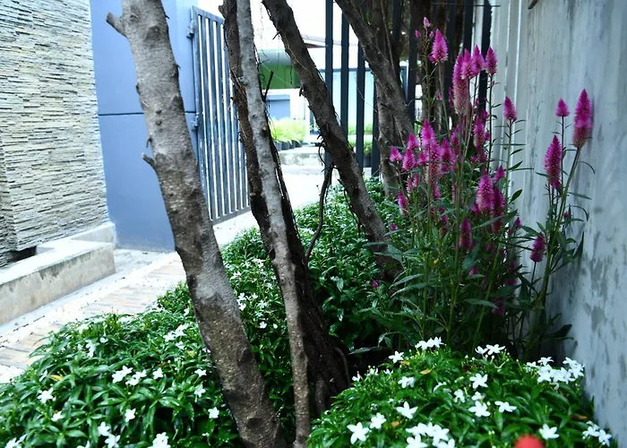 Villa Luxury Pure Modern Pool 5bed Ktv Gym Nr Bts&central Bangkok